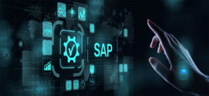 SAP Basis Support Service: Role and Importance in an Enterprise
